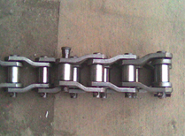 森睿助力上海奉賢半程馬拉松